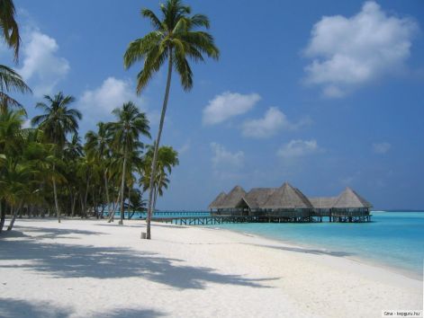 maldiv6.jpg